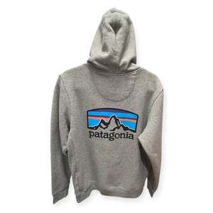 Patagonia Grey Unisex Outdoor Casual Gorpcore Rugged Utility Cozy Hoodie- S